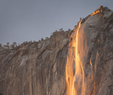 _2502-Yosemite-3313-878x585