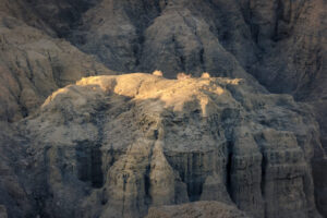 First Light