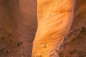 South Palm Wash Canyon I