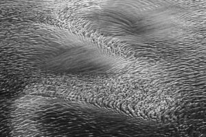 Ripples I