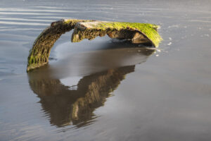 Iredale Remnants