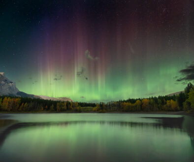 Dancing Lights