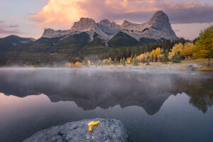 Misty Morning