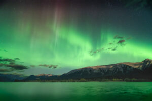 Lit Up In Green Lit Up In Green