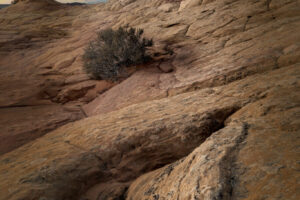 Coyote Buttes Sunset Coyote Buttes Sunset