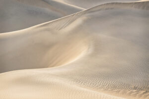 Mequite Flat Sand Dunes I