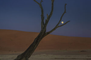 Moon Over Deadvlei Moon Over Deadvlei