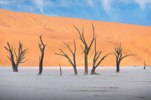 Deadvlei I Deadvlei I