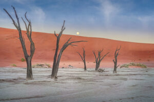 Deadvlei II Deadvlei II