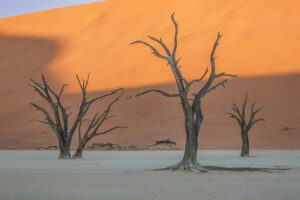 Deadvlei III Deadvlei III