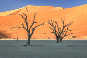 Deadvlei IV Deadvlei IV