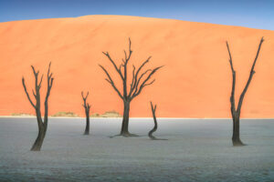 Deadvlei V Deadvlei V