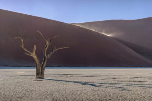 Deadvlei VI Deadvlei VI