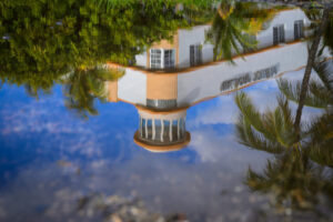 Waldorf Reflection Waldorf Reflection