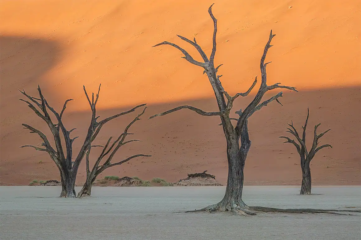 Deadvlei III | Namib Naukluft National Park, Namibia | Aug 2018 Deadvlei III | Namib Naukluft National Park, Namibia | Aug 2018