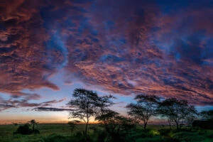 "Serengeti Sunset I" Wins ViewBug Spotted Award